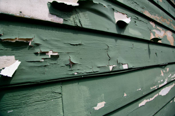 Best Recycling Services for Junk  in Middletown, CT